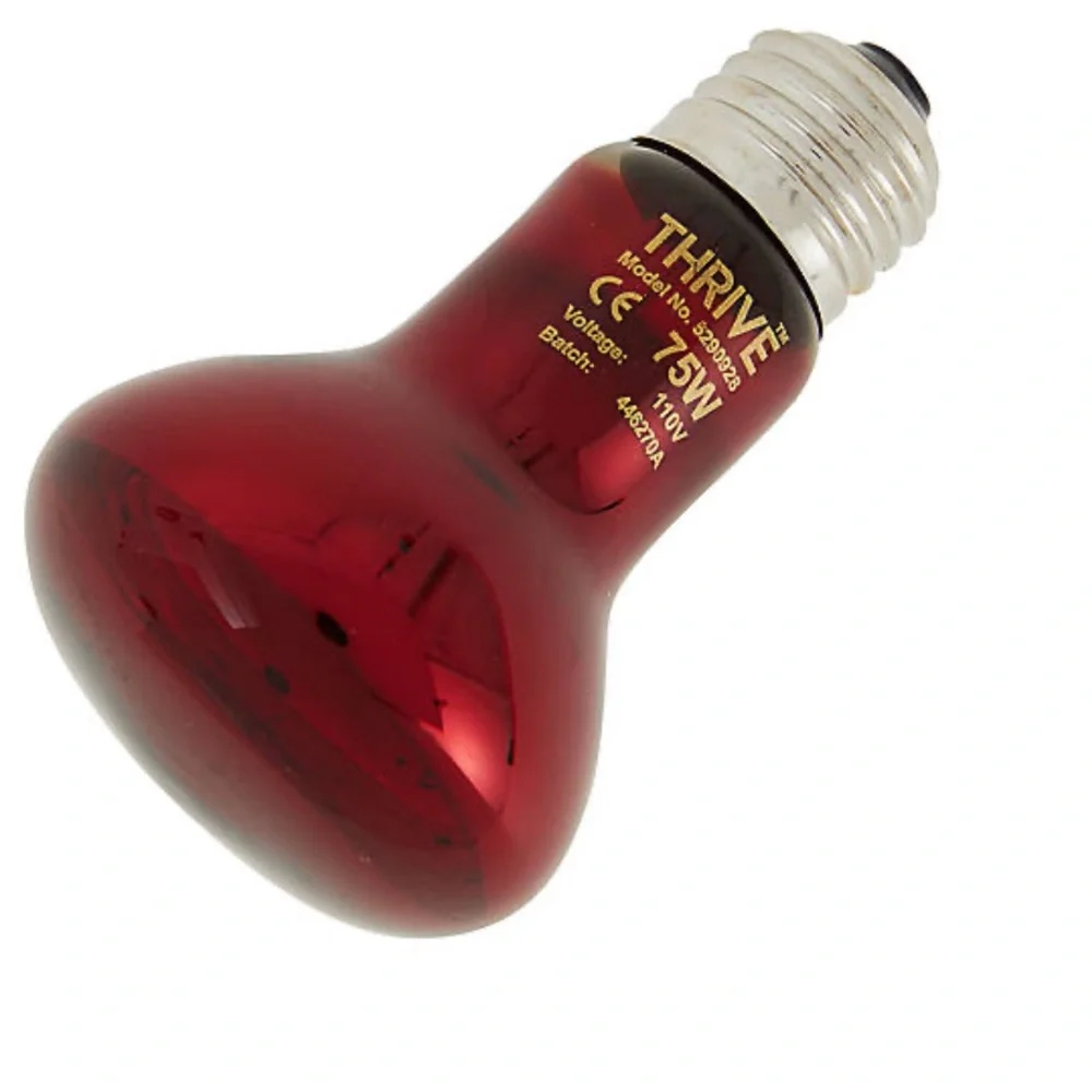 50, 75, 100, and 150 watt nocturnal bulb